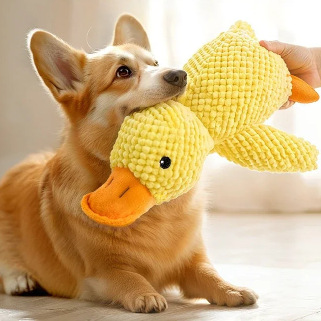 Pato de Peluche para Cães
