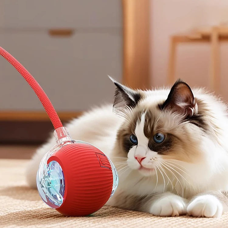 Brinquedo Interativo para Gatos – Bola Inteligente com Cauda