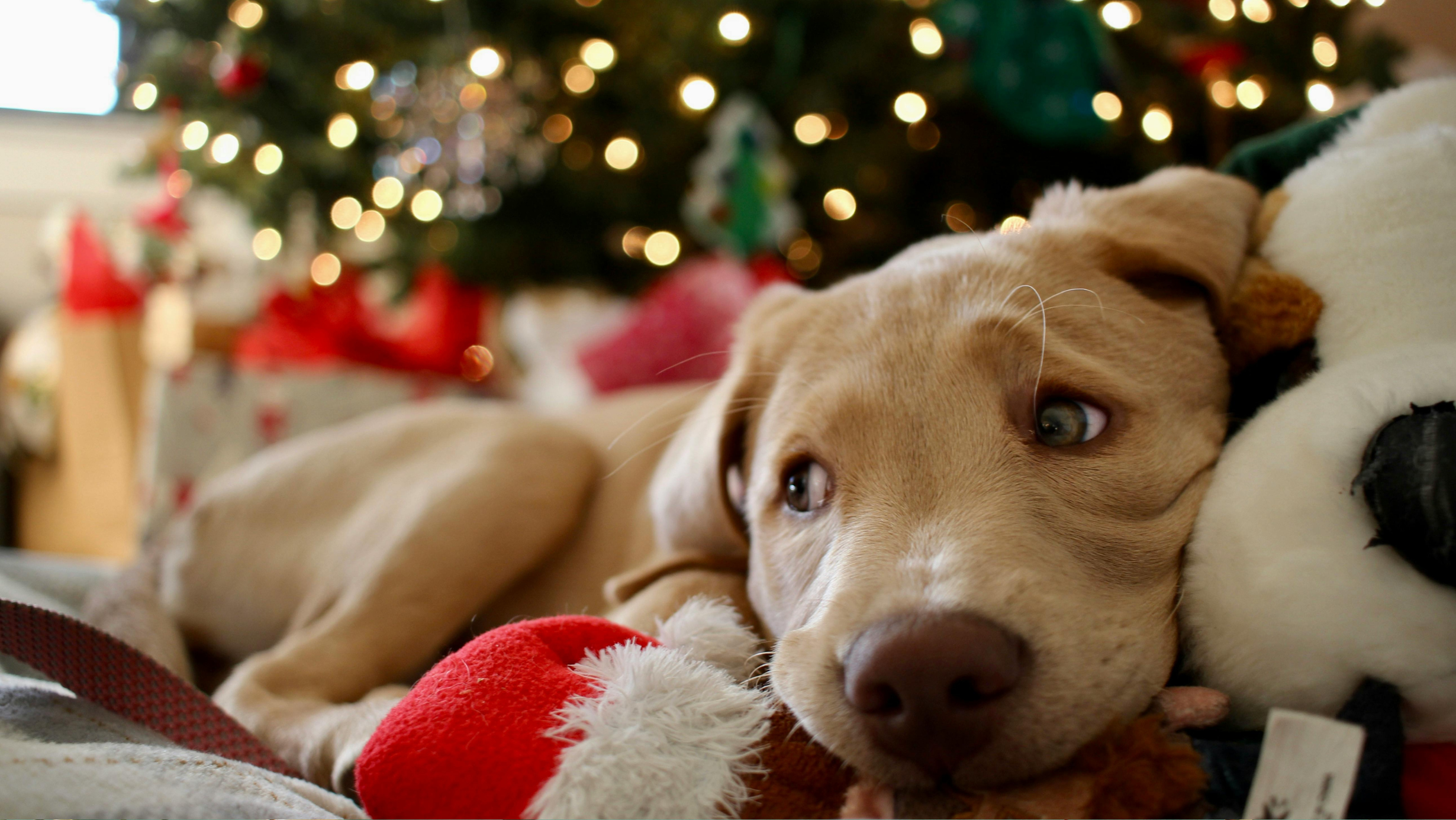 slider image 1621243260e1af0c20-0